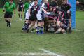 RUGBY CHARTRES 091.JPG
